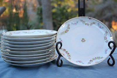   Gold Trim Nippon Plate Back Stamp Nippon Hand Painted w/ oak leaf