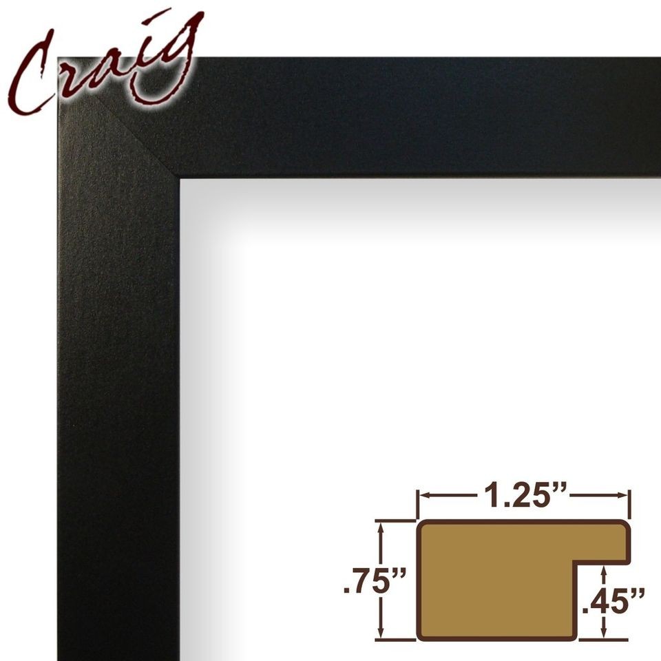   Satin Black 1.25 Wide Assembled Picture Frame Poster Frame (76808704