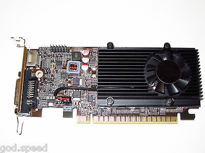   Slimline Low Profile 1GB PCI Express PCI E x16 Video Graphics Card