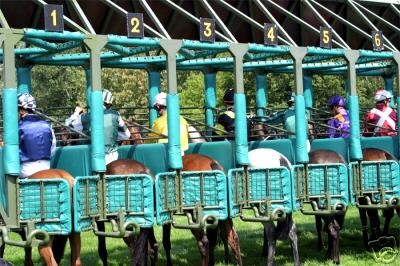 handicapping the exacta analyzer  37 95 or