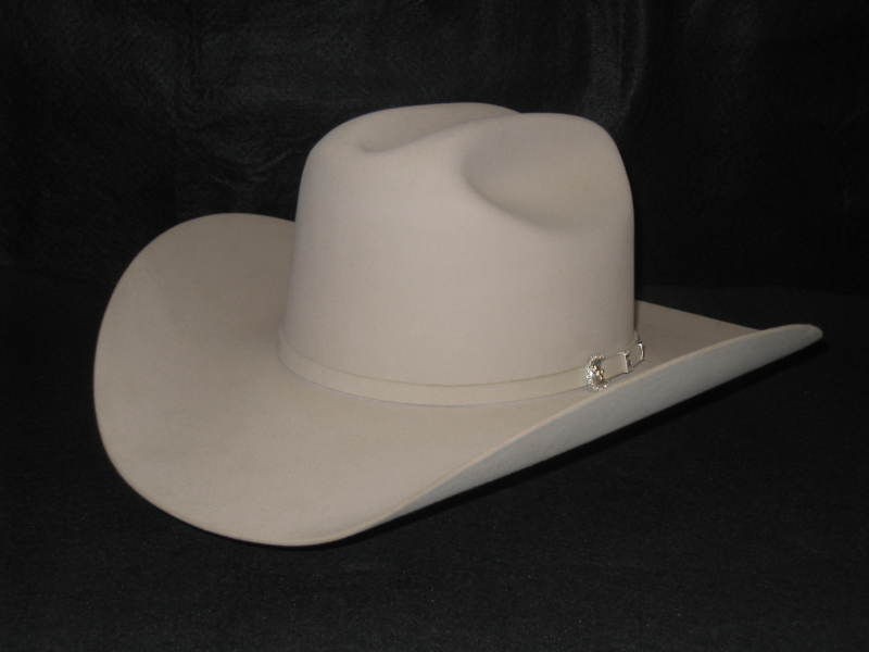 new stetson shasta belly 10x beaver fur felt cowboy hat