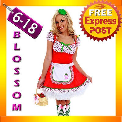 G11 Ladies Strawberry Shortcake Storybook Fancy Halloween Costume 