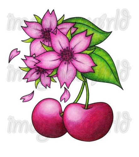 cherries blossoms temporary tattoos cherry tattoo  