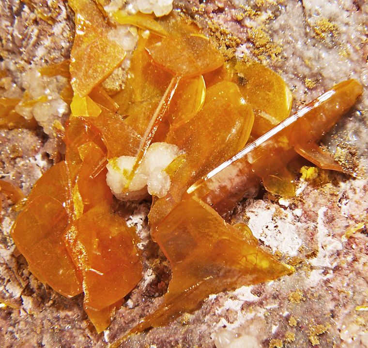 Orangetabular Wulfenite Crystals to 4 Los Lamentos