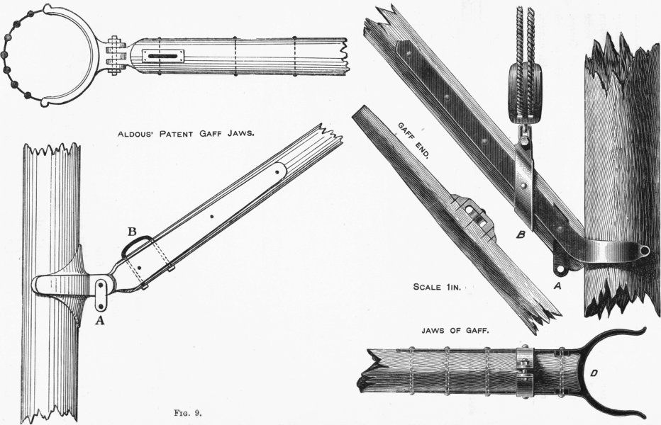 Caption below picture Aldous Patent gaff jaws; Gaff end; Scale 1in 