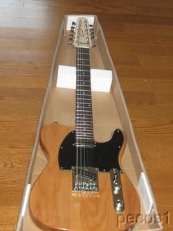   Cozart 12 String Electric Guitar Tele Style Body Made of Alder