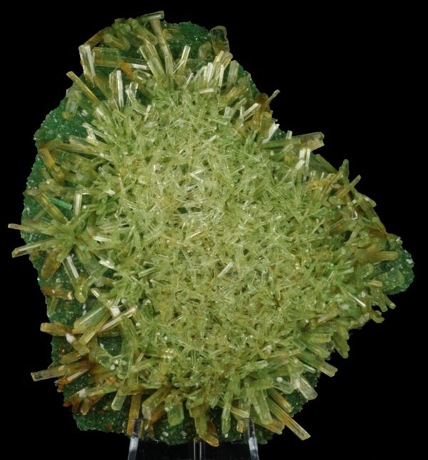 Fine Green Selenite   Gypsum Gypse with Atacamite Botallackite 