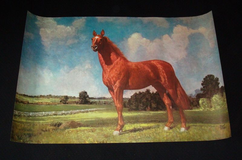 LARGE & ORIGINAL ROBERT WESLEY AMICK PRINT ~~MAN OF WAR~~A NOBLE HORSE 