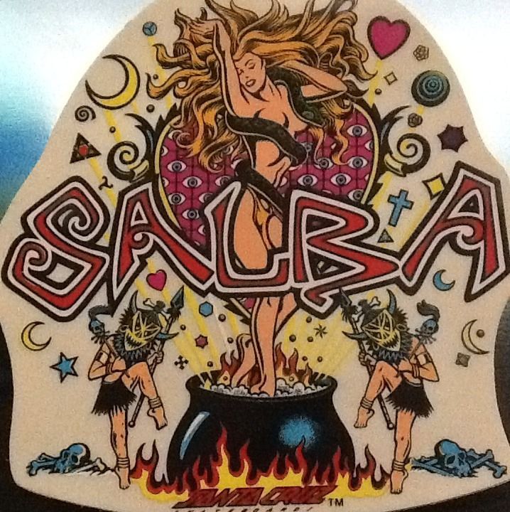 Vintage Skateboard Stickers Santa Cruz Salba 1980s Classic Skate 