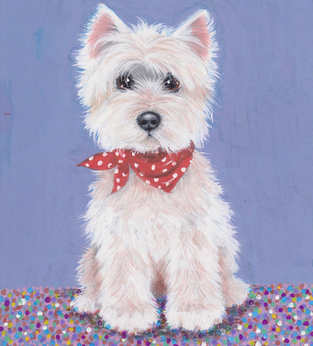 Westie on The Rug Limited Edition Print by Sue Barratt