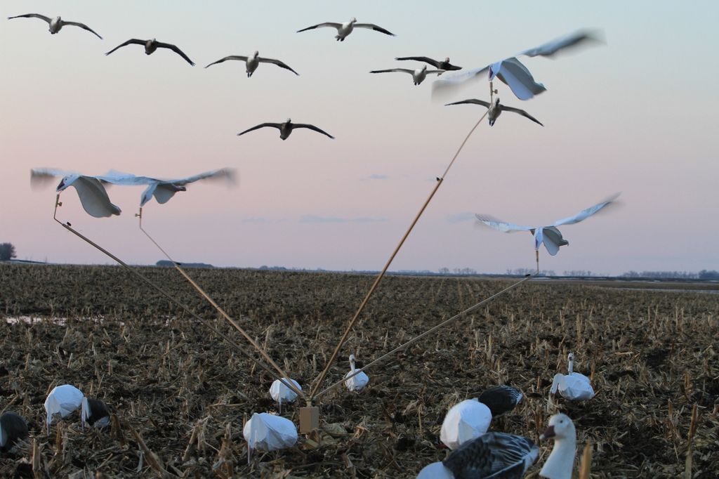 Arm TORNADO ROTARY MACHINE BY SILLOSOCK Decoys Snow Goose 