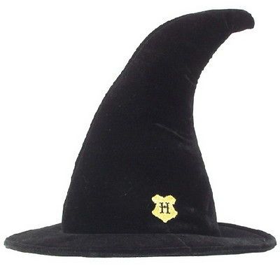 Harry Potter Hogwarts School Student Wizard Hat with Brim, NEW UNWORN