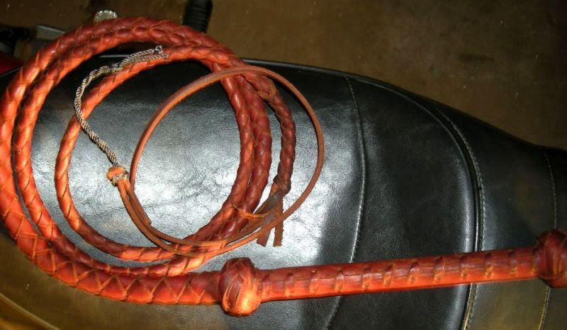 10 foot long 4 plait BULLWHIP Ausse Redhide leather BULLWHIPS BULL 