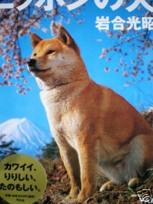   SHIPPING Japanese Dogs Photo Book Akita Shiba Kishu Kai Other Inu