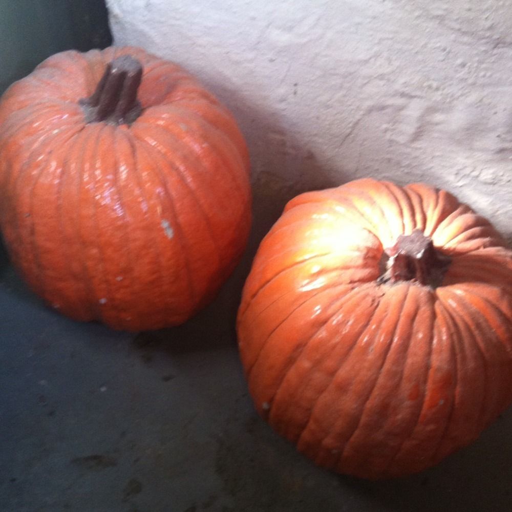   Smash Concrete Pumpkins Halloween Autumn Fall Decoration Porch