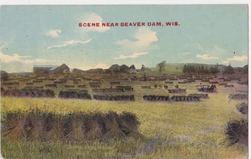 BEAVER DAM WI   farm scene fields 1914 POSTCARD wisconsin wis wisc