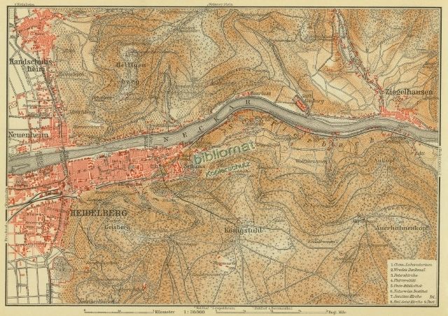   Stadtplan Heidelberg 1912 Neuenheim Bergheim Schlierbach Ziegelhausen