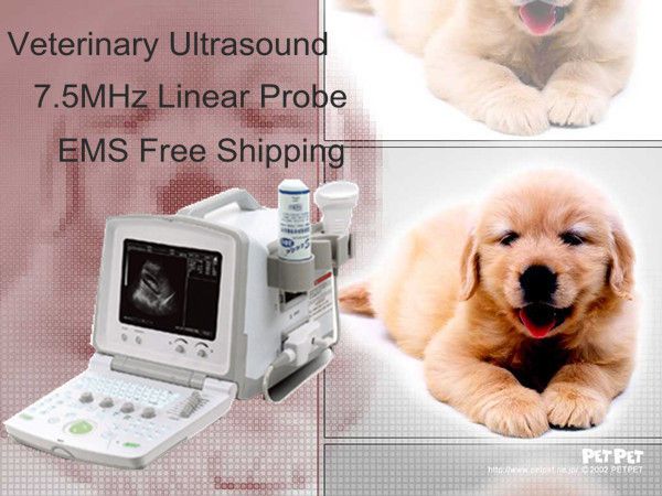 veterinary ultrasound in Healthcare, Lab & Life Science