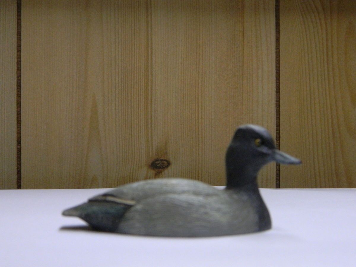 William J Koelpin Lesser Scaup Miniature Duck 1982