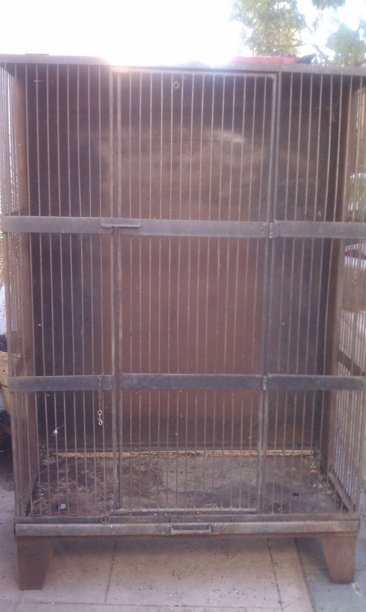  Huge Bird or Rodent Cage or Coop