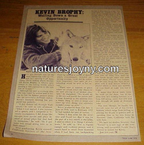 KEVIN BROPHY vintage 1978 Teen Clipping   24 yr old of Lucan