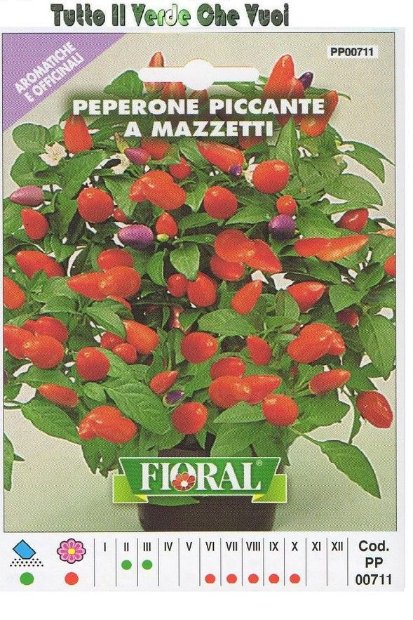 FLORAL   BUSTA SEMENTI PEPERONE PICCANTE A MAZZETTI   AROMATICHE E 