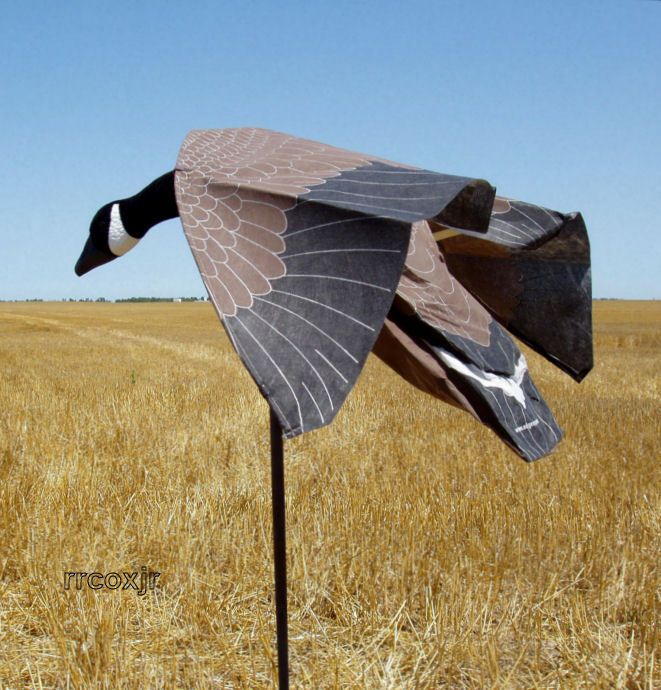    EXPEDITE TRUMOTION CANADA GOOSE MAGNET FLYING DECOY FLOCKED HEAD NEW