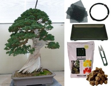 Bonsai Starter Care Kit, Bonsai Kit  Potting Mesh,Fertilizer,Wire,Tray 