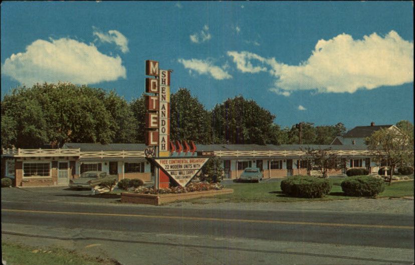 Charles Town WV Shenandoah Motel GREAT SIGN   Postcard