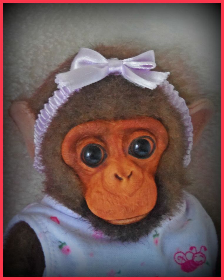   Reborn Newborn Chimpanzee Monkey Chimp OOAK Doll with Baby Bed