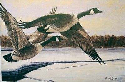 Ross B Young L E Signed Print Canada Geese