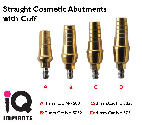 10 Cosmetic Titanium Abutments for Dental Implant Implants Lab