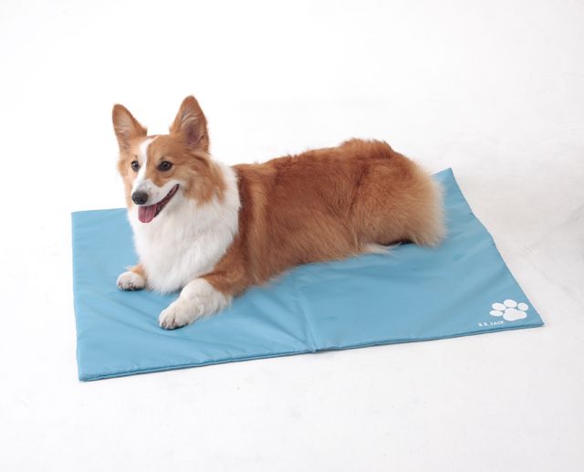 Pet Gel Cooling Cushion Mat, Naturally Cool Pad for Dog & Cat w/ Cover