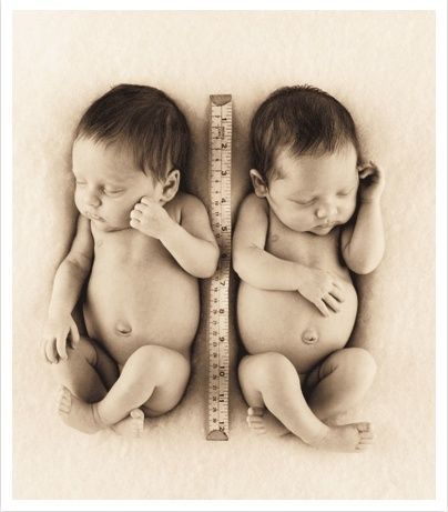 Anne Geddes Rebecca Courtney 11x 14Print New Twins