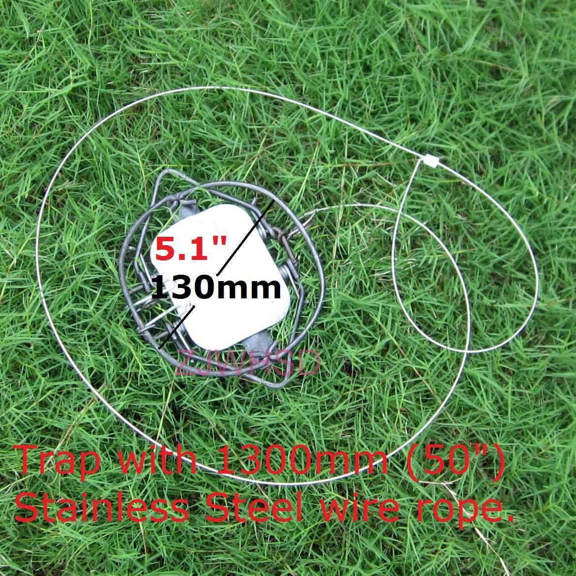 Pest Control Mouse Rat Rodent Steel Spring Snare Trap 50 Stainless