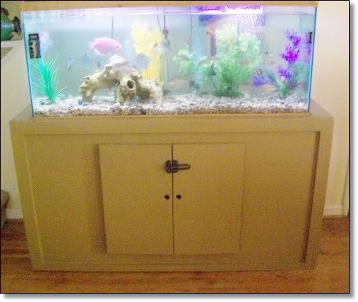 Aquarium Custom Made Stand Accessories – See Pictures and Video