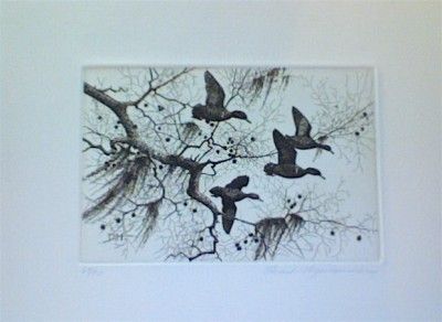 David Hagerbaumer Original Signed Etching Teal Ducks