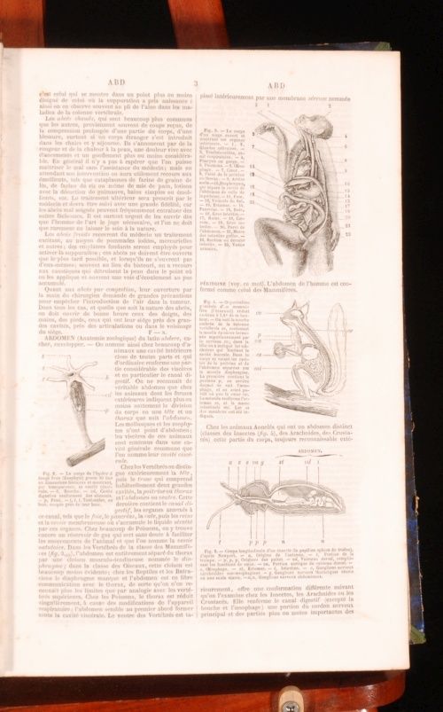 1864 7 2vol Dictionnaire General Des Sciences Privat Deschanel