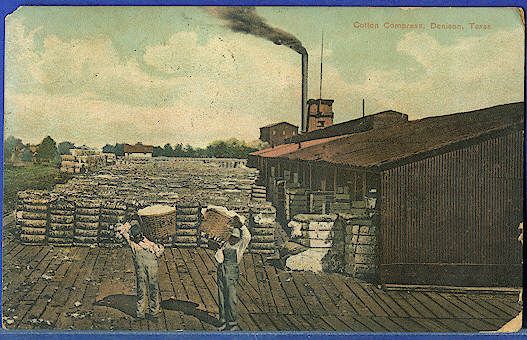 Denison Texas TX 1909 Blacks & Baskets of Cotton at Compress Vintage