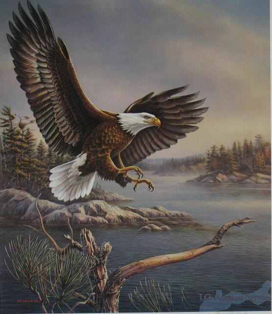 James A Meger Legacy American Bald Eagle s 189 750