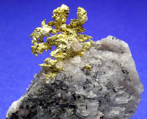 Eagles Nest Mine Fine Native Gold Crystals on Quartz