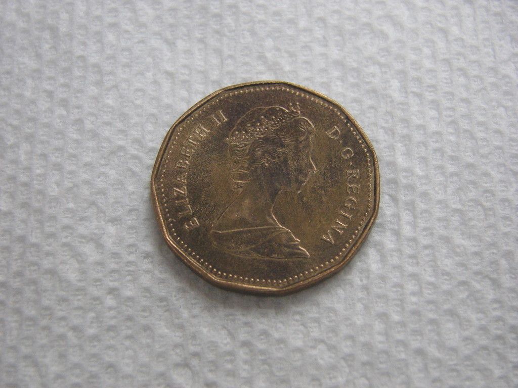 Canada 1989 Dollar Coin Elizabeth II D G Regina