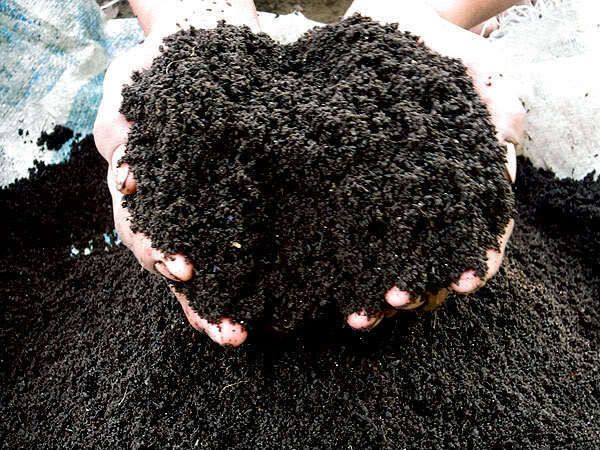 lbs Worm Castings Organic Fertilizer Plant Lawn Garden Farm