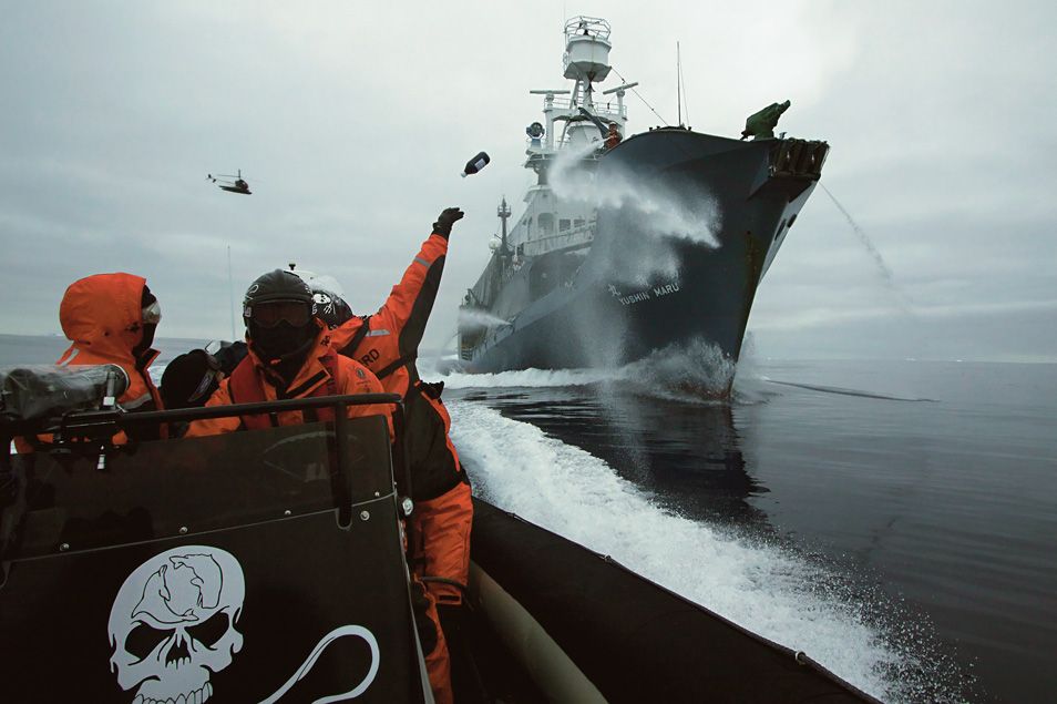 seal hunters starring captain paul watson martin sheen farley mowat