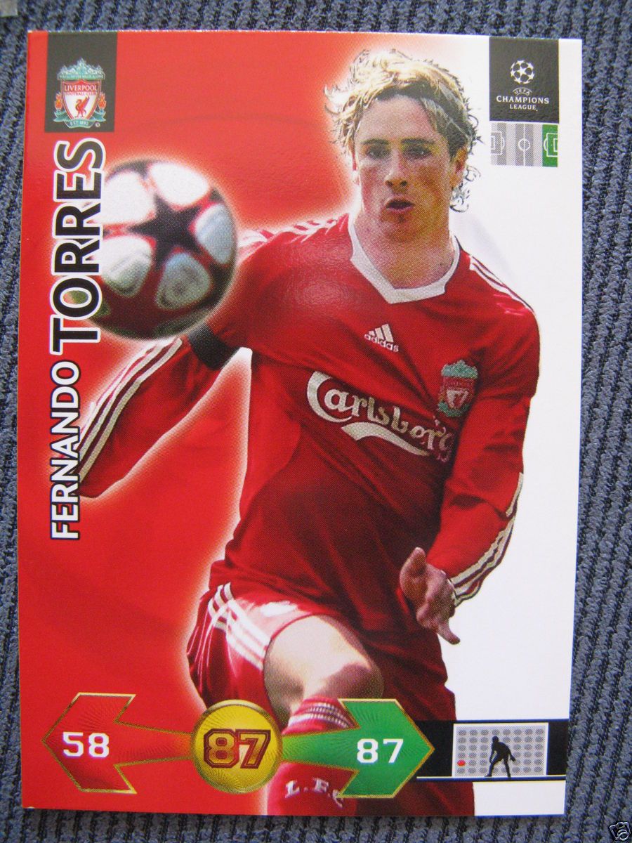 FERNANDO TORRES SOCCER CARD  2010 PANINI LIVERPOOL SPAIN CHELSEA