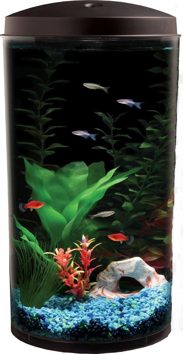 Aquarius AQ360 64c Aquaview 360 6 Gallon Aquarium Kit