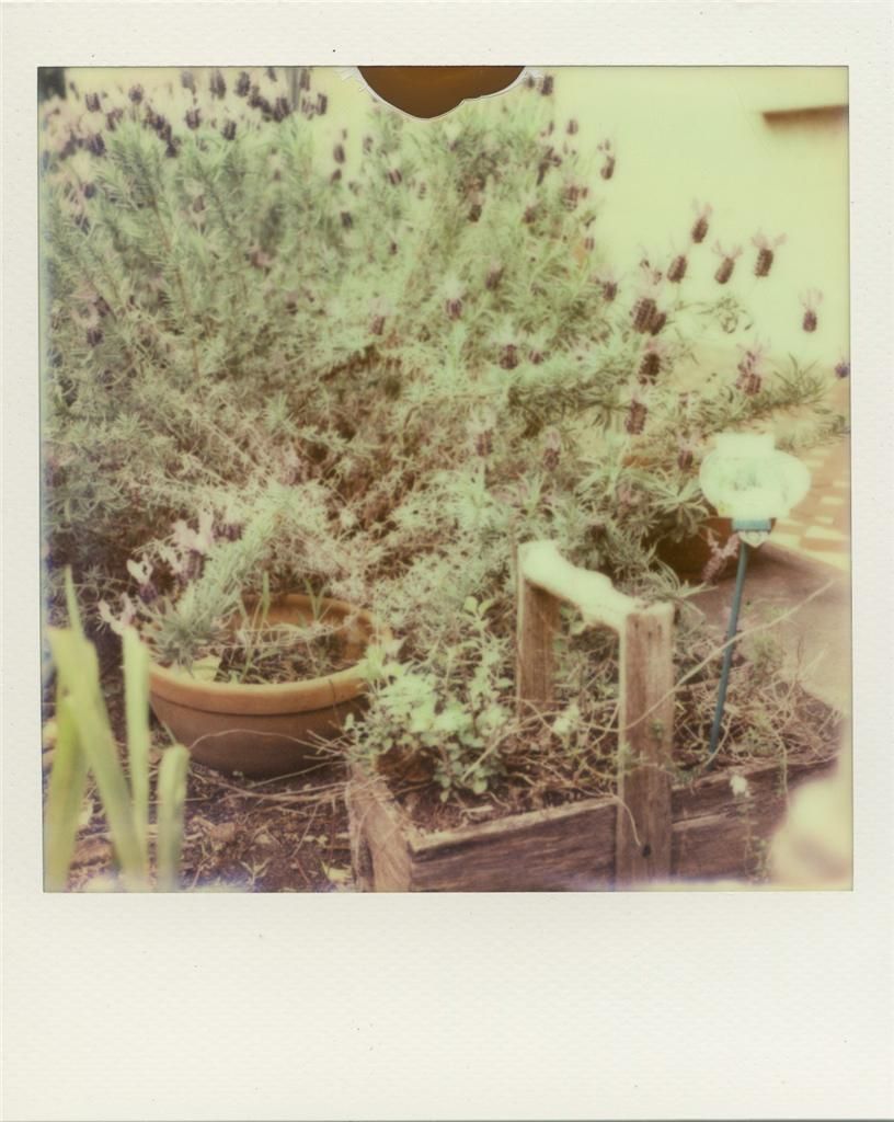 This PX680 Film expires in August 2013, but film life can be