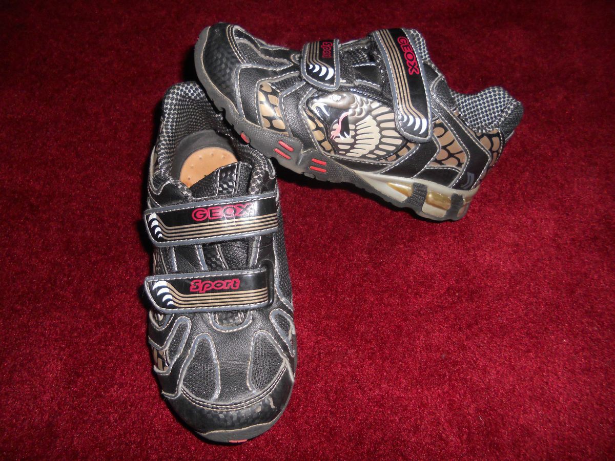 Geox Shoe size 12