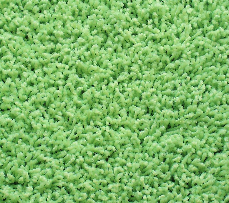 Area Rug Green Shag Carpet w Binding Froggy Green Shazaam