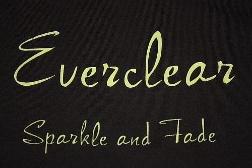 XL ~ vtg 90s 1995 EVERCLEAR sparkle and fade NASHVILLE CONCERT t shirt